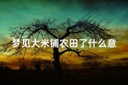 梦见大米铺农田了什么意思(梦见大米铺地上)