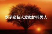 双子座粘人爱撒娇吗男人(双子座喜欢粘人)