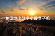 梦见地上好多小酸枣子吃—梦见地上好多小酸枣子吃掉了
