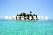 天蝎座都是七杀吗男生婚姻