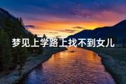 梦见上学路上找不到女儿(梦见自己找不到女儿了是什么意思？)