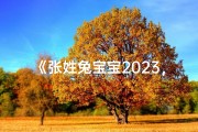 《张姓兔宝宝2023，萌动新春喜临门》