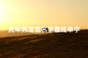 虎年男宝宝名字曹姓单字、曹姓男孩名字单名