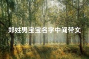 郑姓男宝宝名字中间带文(郑文轩：寓意文采飞扬的男宝宝名字)