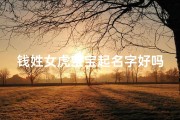 钱姓女虎宝宝起名字好吗