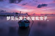 梦见头发上长蛋虱虫子_梦见头发上长虱子蛋是什么意思
