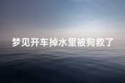 梦见开车掉水里被狗救了,梦见开车掉入水中,人平安