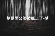 梦见两公婆被抓走了-梦见两公婆被抓走了啥意思