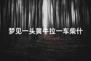 梦见一头黄牛拉一车柴什么征兆—梦见一头大黄牛拉车