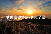 梦见富婆特效-梦见了富婆