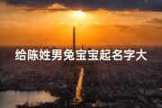 给陈姓男兔宝宝起名字大全