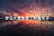 梦见大黑鱼身上有鱼叉子—梦见鱼身上长了黑毛