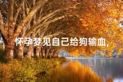怀孕梦见自己给狗输血,孕妇梦见自己打狗有血