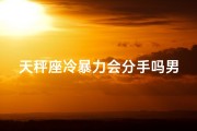 天秤座冷暴力会分手吗男生