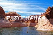梦见家门口好多好多鱼_梦见门口有一堆鱼