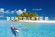 梦见吊兰花儿开了花_梦见吊兰长得茂盛是什么意思