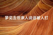 梦见去世亲人说话被人打断(梦见已故的亲人打骂自己)