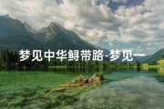梦见中华鲟带路-梦见一条中华鲟