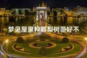 梦见屋里种颗梨树苗好不好(梦见家里种梨树)