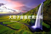 大双子座喜欢男生吗