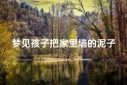 梦见孩子把家里墙的泥子铲掉了,梦见孩子把家里墙的泥子铲掉了什么意思