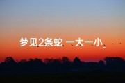 梦见2条蛇 一大一小_梦见2条蛇一大一小,小的爬到我身上