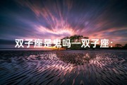 双子座是鬼吗—双子座：揭秘最恐怖星座之谜