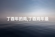 丁酉年的鸡,丁酉鸡年最佳生辰：揭秘好命吉日