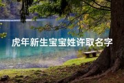 虎年新生宝宝姓许取名字;虎跃新春，许家宝宝迎吉祥，喜提美好名字