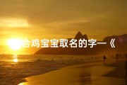 适合鸡宝宝取名的字—《鸡宝宝带子男孩，寓意吉祥好名字揭晓》