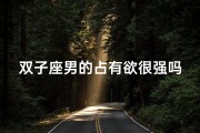 双子座男的占有欲很强吗(双子座男占有欲：爱得深沉还是过度控制？)