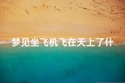 梦见坐飞机飞在天上了什么预兆、梦见坐飞机在天上飞啥意思