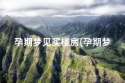 孕期梦见买楼房(孕期梦见楼房前面的路被挖了一个大坑)