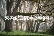 双子座见到死神会害怕吗(双子座遇见死神，会害怕吗？)