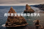 虎年男宝宝孙姓取名字大全(《虎年孙姓男宝宝名字精选大全》)