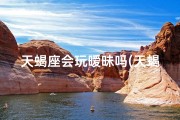 天蝎座会玩暧昧吗(天蝎座会闲你一直跟她聊天吗？持续互动的秘密)