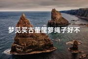 梦见买古董筐箩绳子好不好、梦见买古董捡漏