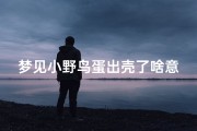 梦见小野鸟蛋出壳了啥意思-梦见小鸟蛋出小鸟是什么意思