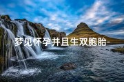 梦见怀孕并且生双胞胎-梦见怀孕生双胞胎女儿是寓意什么