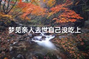 梦见亲人去世自己没吃上饭;梦见亲人没钱吃饭什么预兆