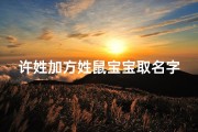 许姓加方姓鼠宝宝取名字—2020鼠宝宝姓许起名字