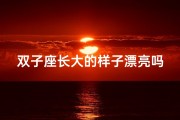 双子座长大的样子漂亮吗—双子座长大，美丽非凡