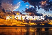 属牛人能穿龙的衣服吗_牛年属龙穿什么颜色衣服