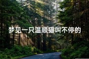梦见一只温顺猫叫不停的狗_做梦梦见猫狗叫