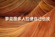 梦见很多人拉便自己也找地方拉-梦见很多人排队拉大便