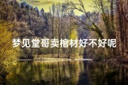 梦见堂哥卖棺材好不好呢—梦见堂哥死了什么预兆