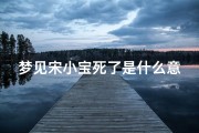 梦见宋小宝死了是什么意思(宋小宝真的过世了吗)