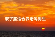 双子座适合养老吗男生—双子座男生适合什么工作