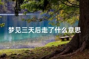 梦见三天后走了什么意思,三天梦见同一个人说明了什么