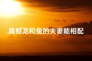 属相龙和兔的夫妻能相配吗_属龙兔和虎属相合吗？揭秘生肖相配奥秘